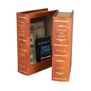 Double Diversion Books Open